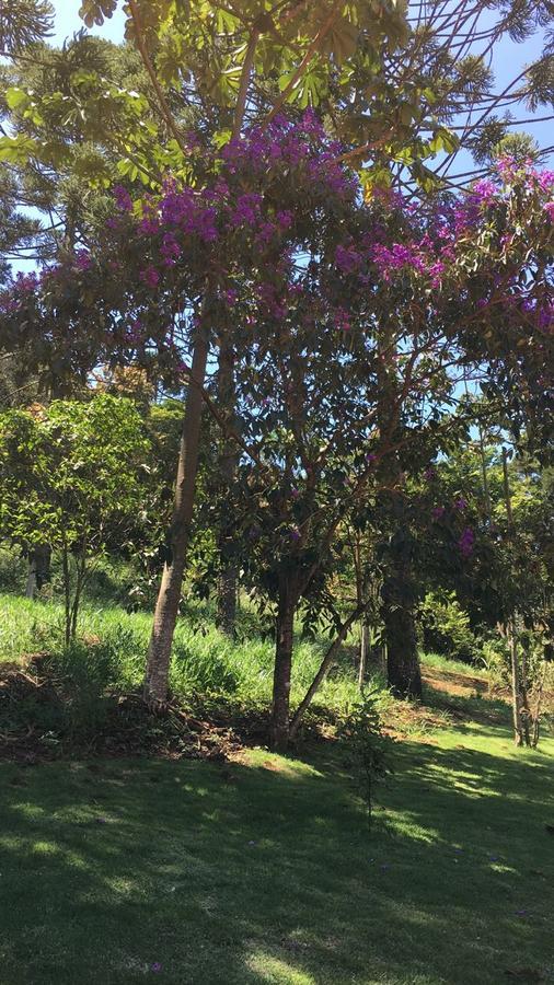 Pousada Canto Dos Passaros Itanhandu Exteriör bild